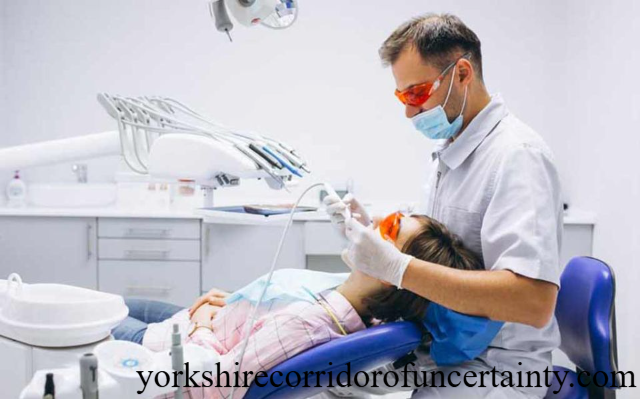 Hal yang Perlu Diketahui Tentang Jurusan Dental Studies